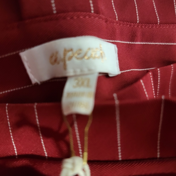 Red Pinstripe Pleated Pants + gold belt - Picture 8 of 10